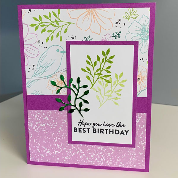 Standard Cards